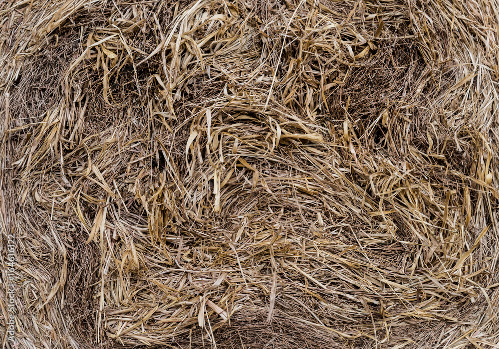Roll of straw background