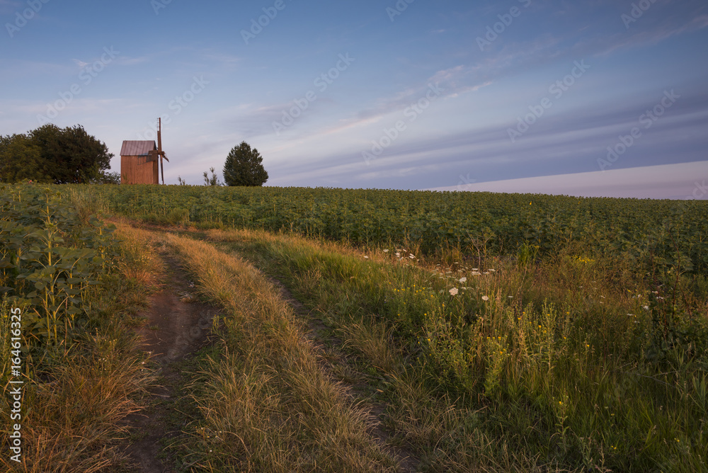 Fototapeta premium Beautiful landscape with old wooden windmill in morning light