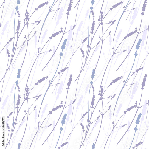 Vector floral seamless pattern with realistic lavender flowers .