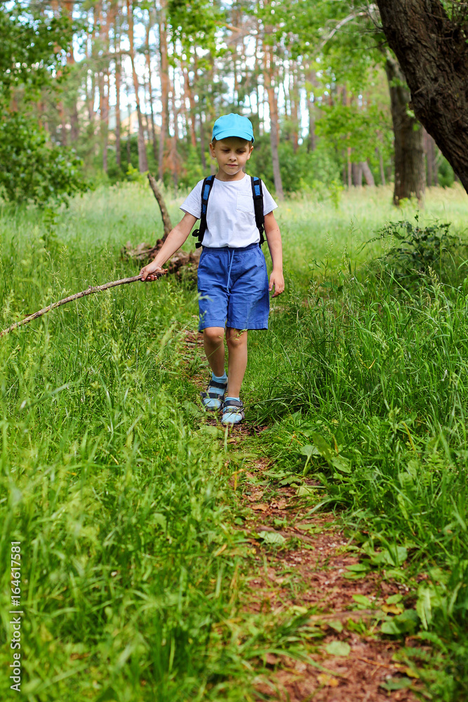 boy is walking through the forest boy is walking through the forest