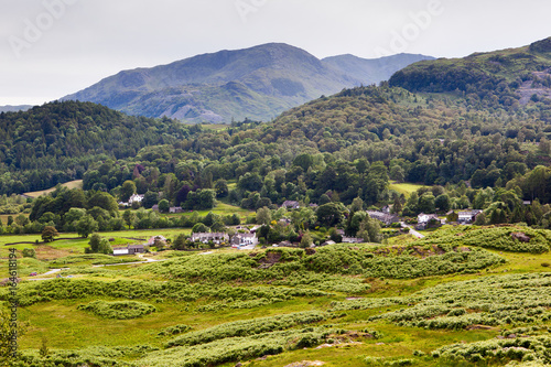 Stunning rural green landscapes in Lake District National Park, England, stone wall, cows, mountains on the background, selective focus