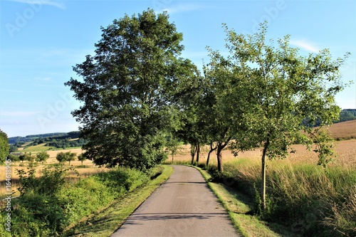 An image of a road and landscape