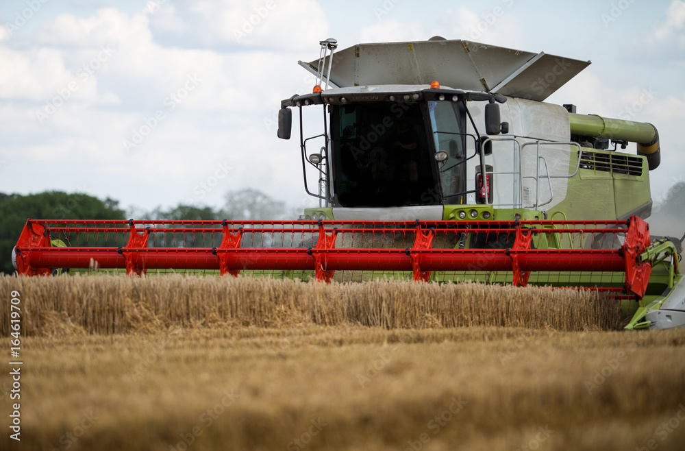 Obraz premium Moissonneuse-batteuse au travail