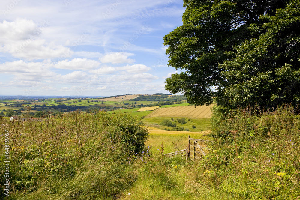 Naklejka premium yorkshire wolds countryside