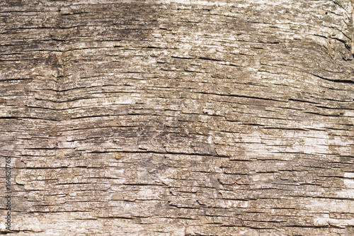 Texture of old wooden board.