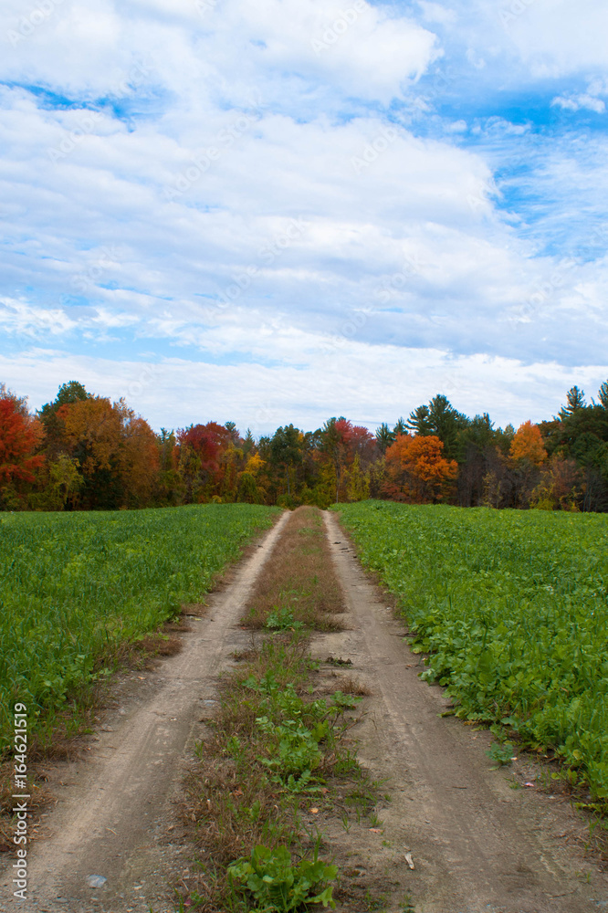 Fall in New Hampshire on the Farm