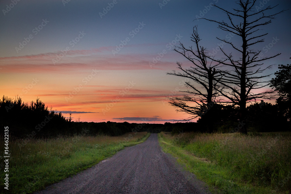 Country Road at Dusk
