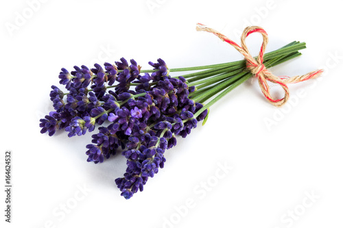 Fresh lavender isolated on white