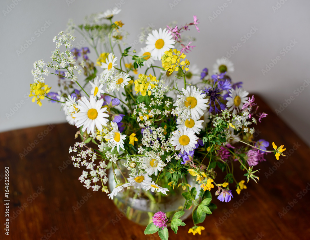 Summer bouquet. Wild flowers of the European part of Russia.	