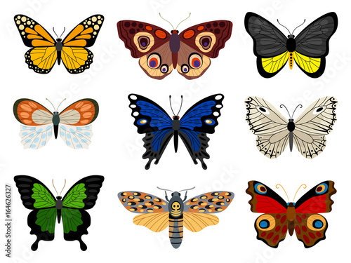 Wallpaper Mural Collection of Butterflies Torontodigital.ca