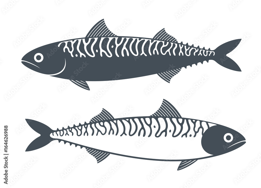 Obraz premium Mackerel set. Isolated mackerel on white background