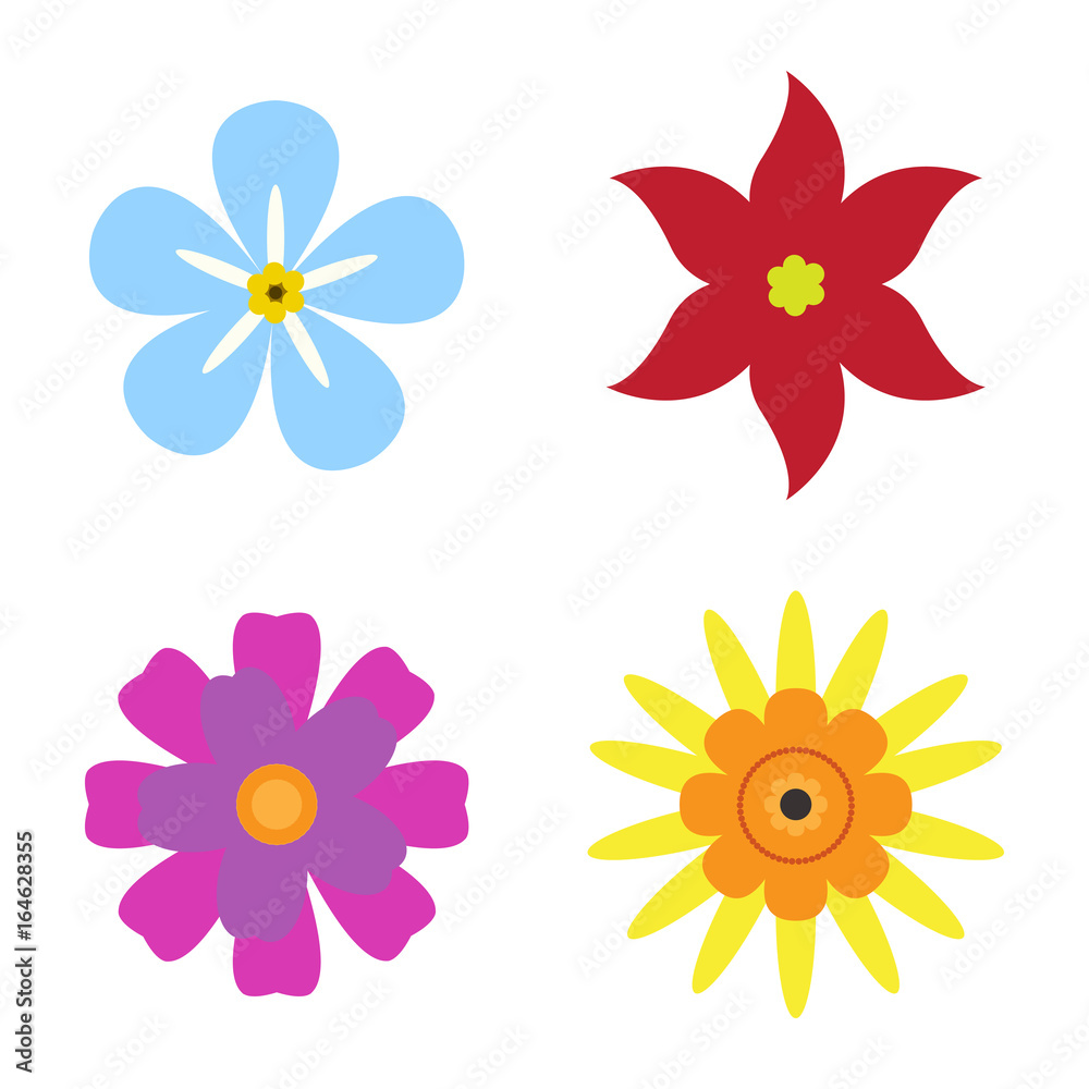 Set of flowers on a white background, flat style, Vector illustration