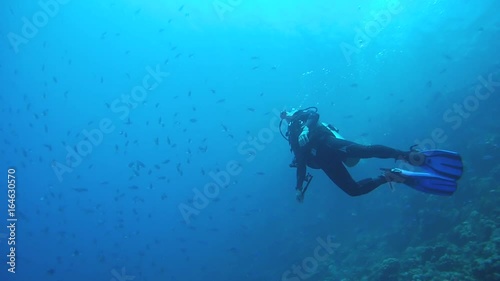 Wallpaper Mural RED SEA, ABU DABAB, MARSA ALAM, EGYPT, AFRICA - JULE 2017: Scuba diver swim in the school of Blue fusilier in blue water - Caesio lunaris
 Torontodigital.ca