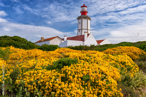 Fényképezés Cabo Espichel with Yellow flowers and a lighthouse