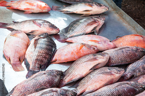 Fresh Tilapia Fish,traditional fish in the market at Asia
