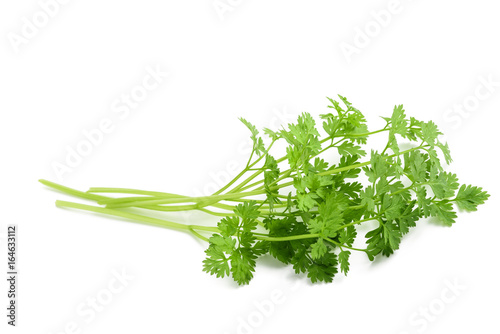 Quadro em tela Fresh Chervil bunch