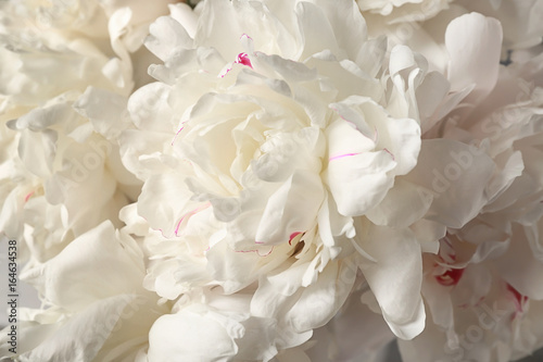 Bouquet of beautiful peonies, closeup