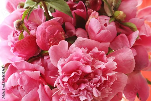 Beautiful peony flowers  closeup