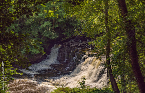 The Middle Falls, Aysgarth waterfalls on beautiful summers day at Aysgarth, Leyburn, North Yorkshire, UK