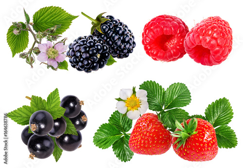 Collection of berries isolated on white