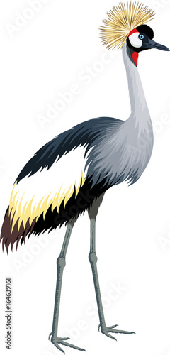 vector crowned crane