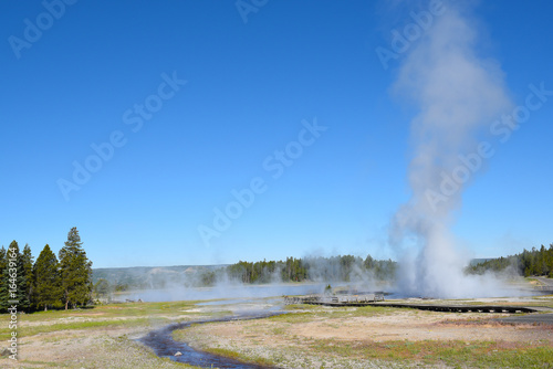 Aretsia Geyser Yellowstone