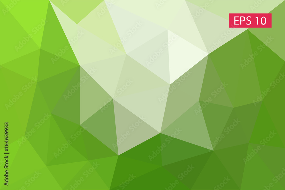 Fototapeta premium Abstract background, vector from polygons, triangle geometric background, vector illustration, light vector pattern, triangular template, geometric sample