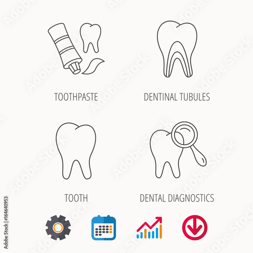 Tooth, dental diagnostics and toothpaste icons. Dentinal tubules linear sign. Calendar, Graph chart and Cogwheel signs. Download colored web icon. Vector