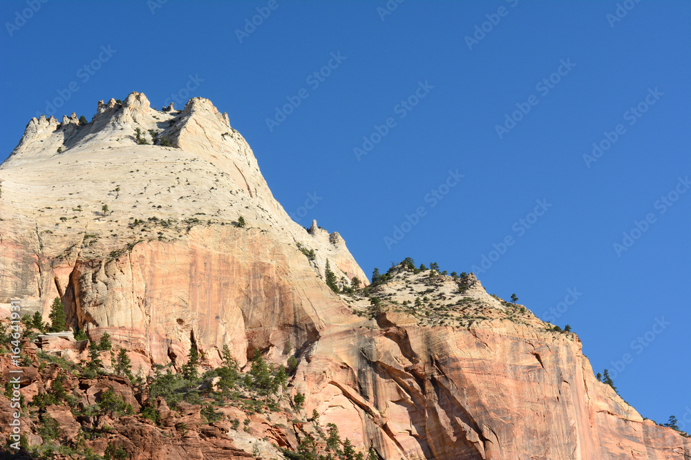 Rock Formation Zion