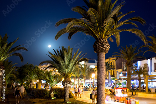 Green palms by moonlight  promenade on Crete