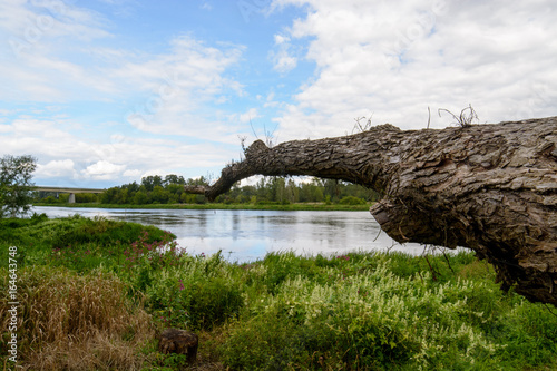 Fototapeta Naklejka Na Ścianę i Meble -  River bank