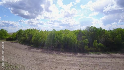 Field meets the trees 