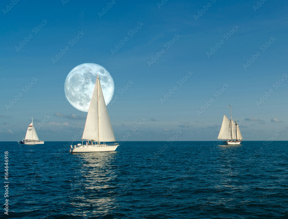 Fototapeta premium Moonlight Sail