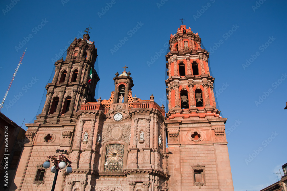 Cathedral San Luis Potosi, Mexico