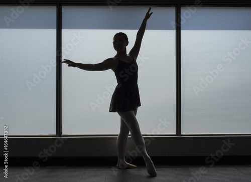 Ballet dancer Silhouette in a Window frame
