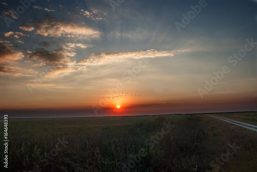 Sawgrass Sunset © Ricardo