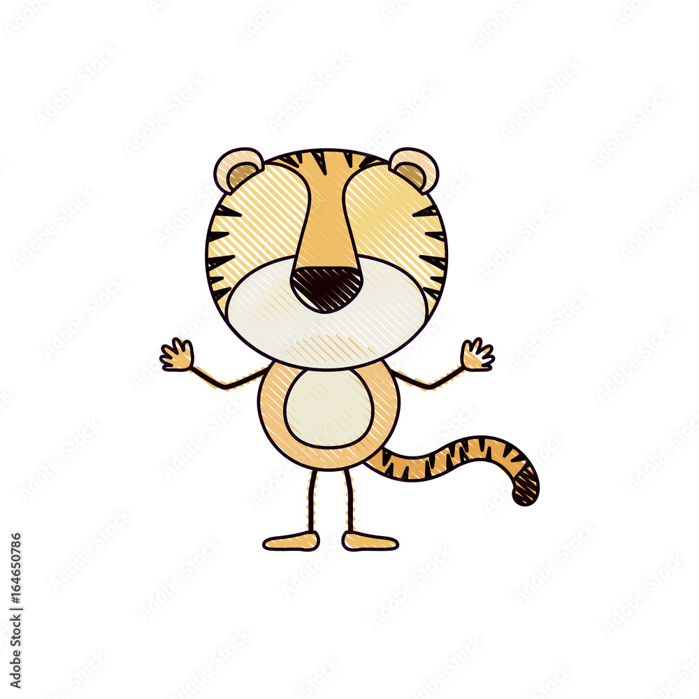 color crayon silhouette caricature faceless of tiger animal vector illustration