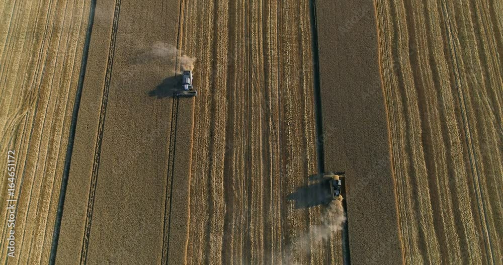 Aerial View. Collecting Of a Harvest Of Wheat