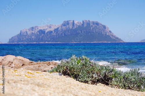 Scenic view of Tavolara from Sardinia coastline.