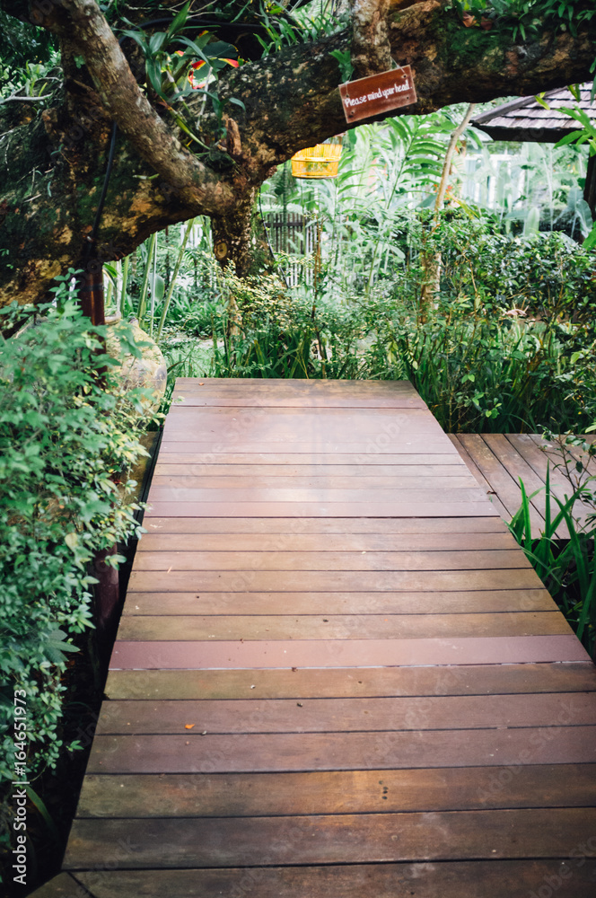 Wood walkway in the garden and have big tree.