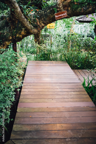 Wood walkway in the garden and have big tree. © SUTTIPONG