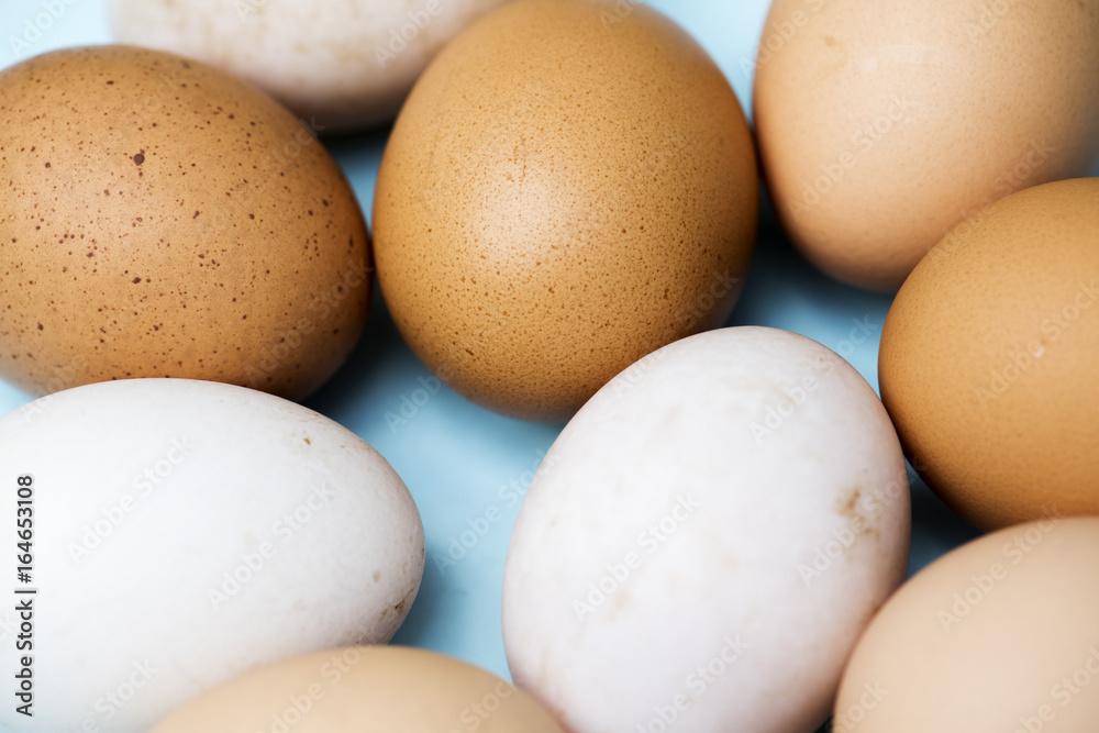 Closeup of fresh organic various eggs Closeup of fresh organic various eggs