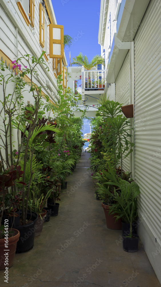 Fototapeta premium Island. Saint Martin. Philipsburg