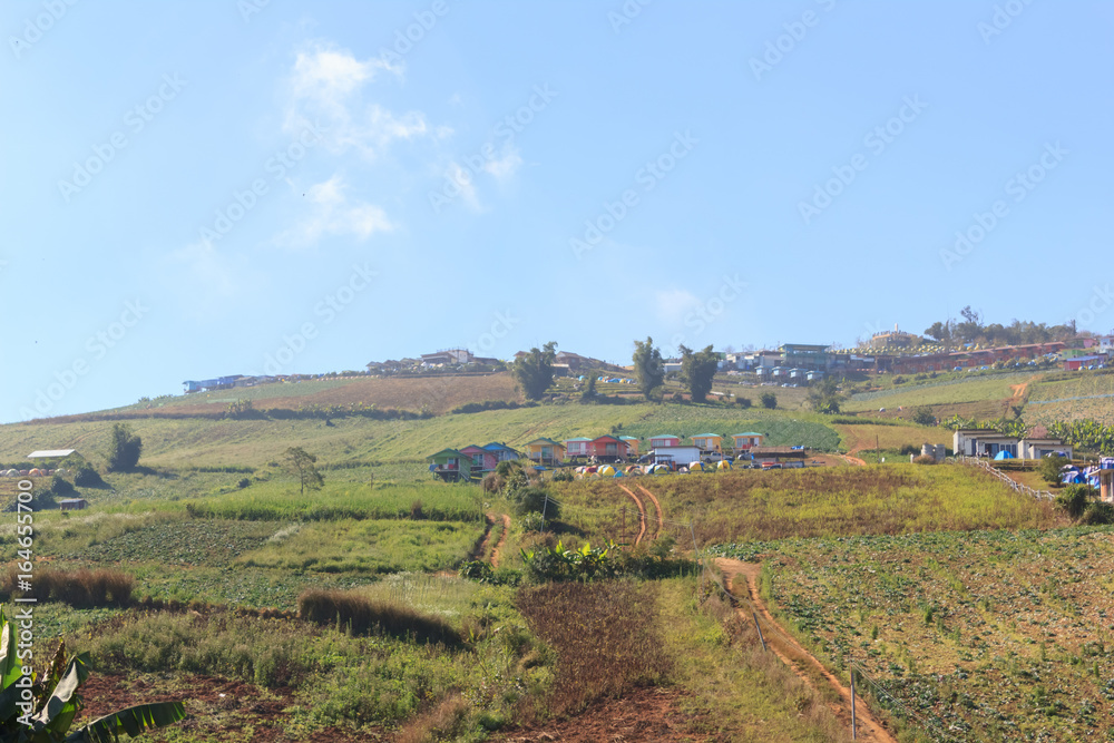 Fototapeta premium Scenery on Phu Thap Boek In Thailand