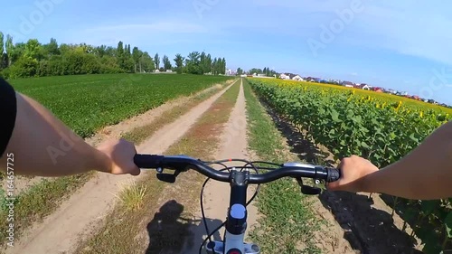 A man riding a bicycle on a dirt road through a field of sunflowers on a bright sunny day in the summer. Action camera go pro. Action camera go pro. Caucasian. Horizon skyline, clear sky.