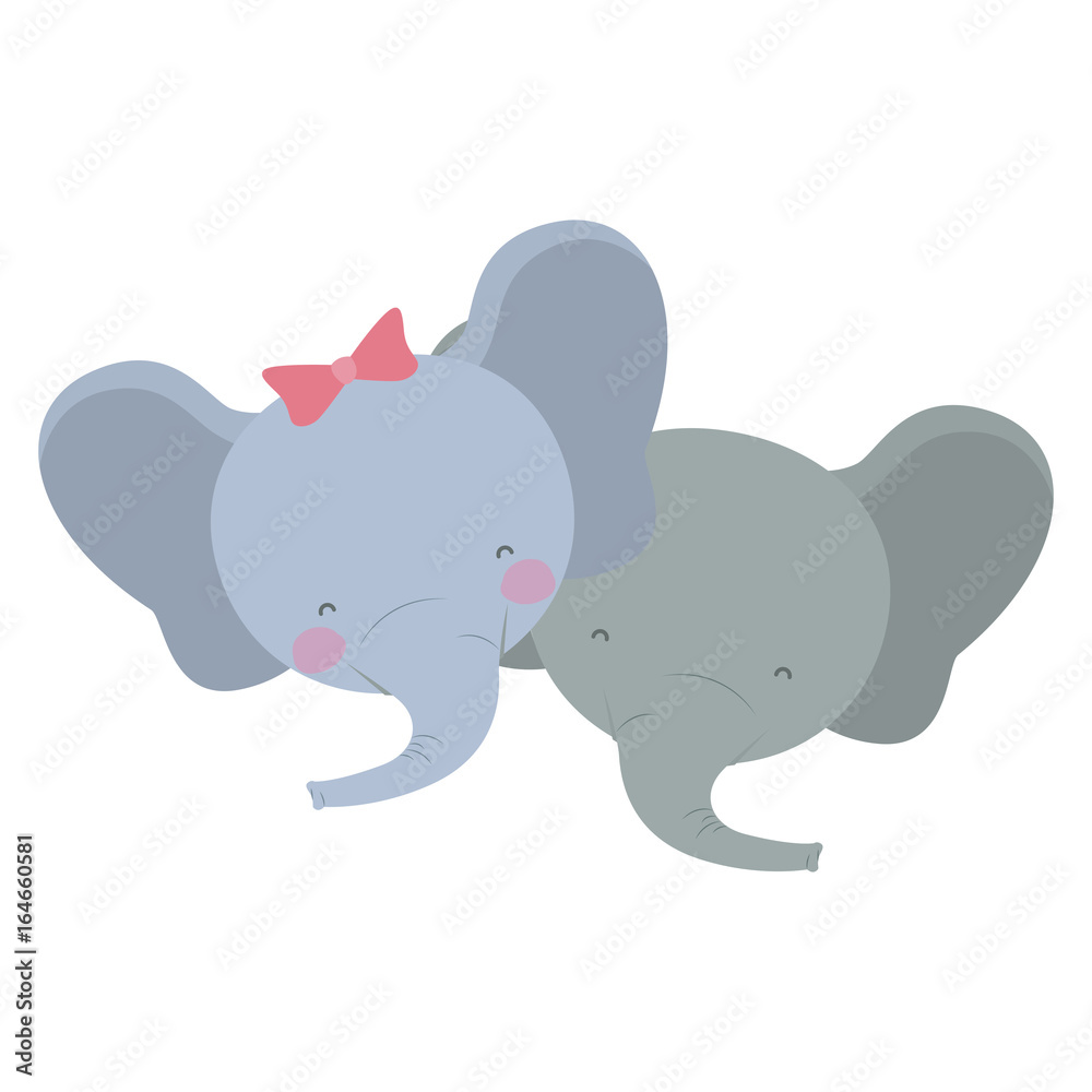 colorful caricature faces of elephant couple animal happiness expression vector illustration