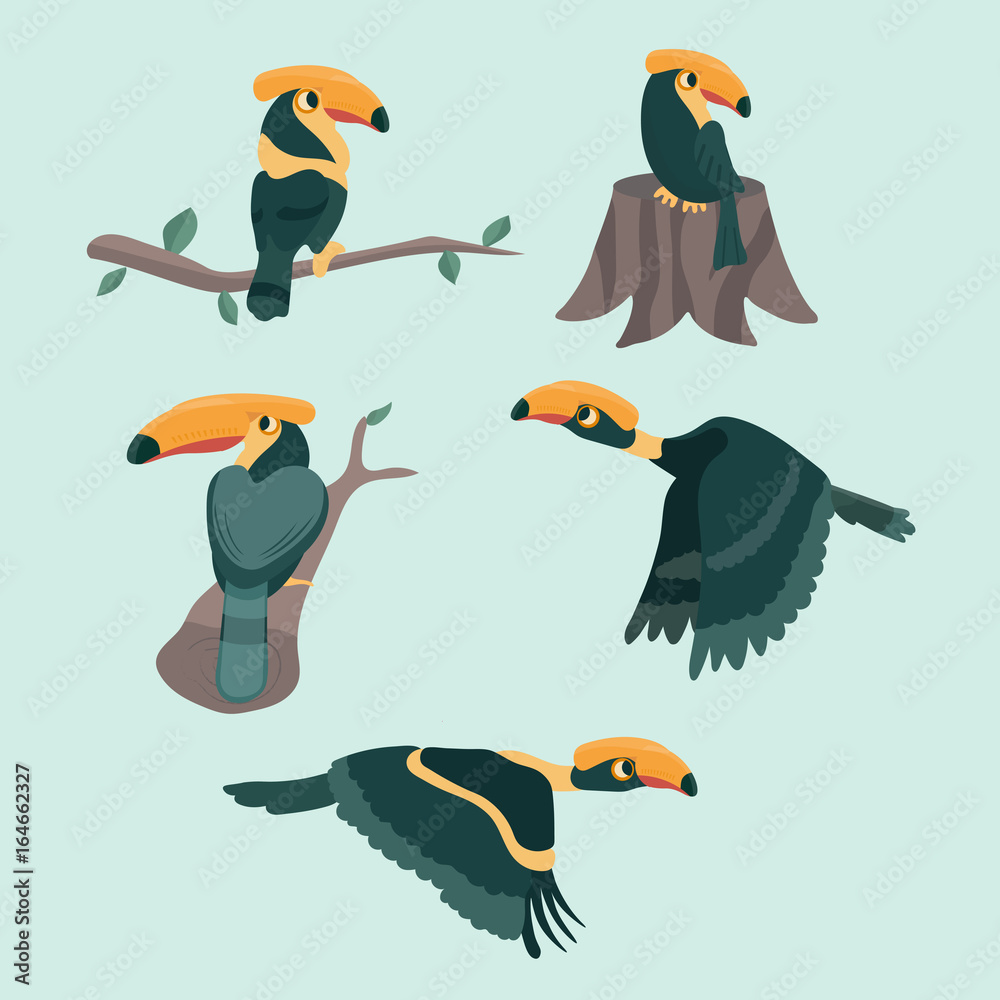 Naklejka premium Bird hornbill set cartoon vector illustration.