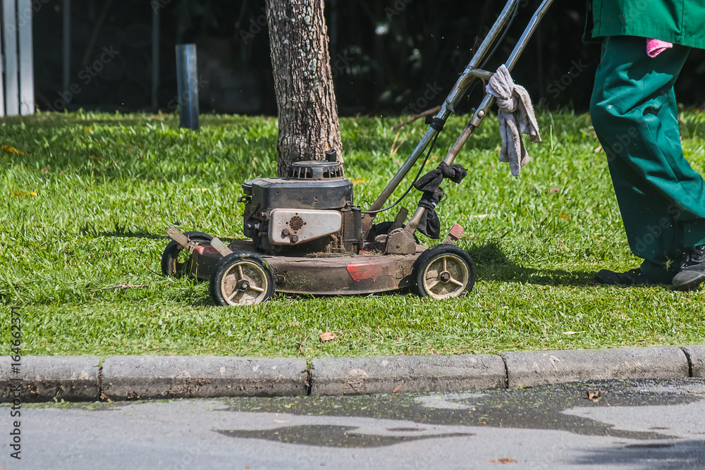 Fototapeta premium The gardener is using a lawn mower