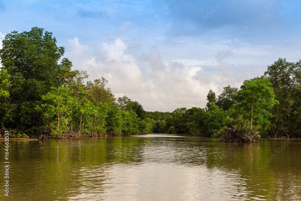 Rural river landscape summer river with bright sky and cloud Rural river landscape summer river with bright sky and cloud