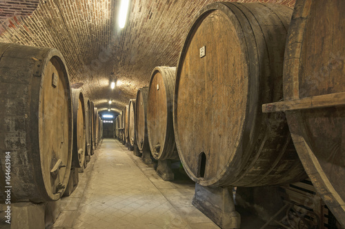 Old wooden barrels with wine in a wine vault